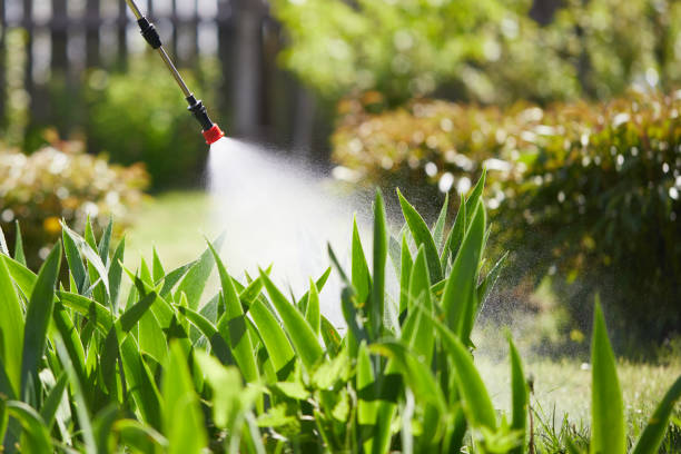 24/7 Emergency Ant Control experts in Somerville, NJ